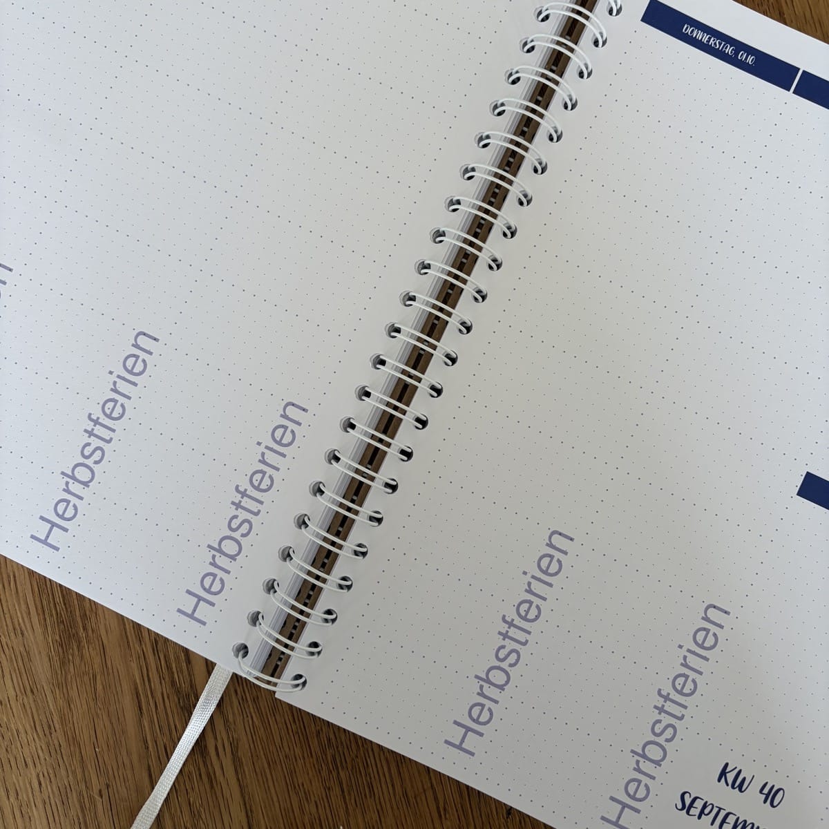 Individualisierbare Inhalte der dream. plan. teach. Agenda